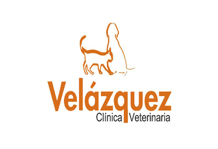 CV Velázquez